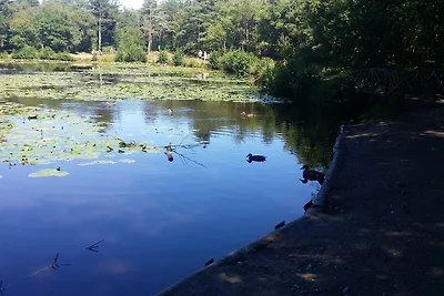 Verstecktes Strandrefugium -- By Traum...