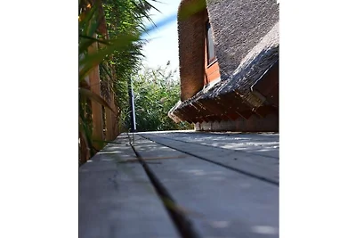 Chalet im See Nr.51