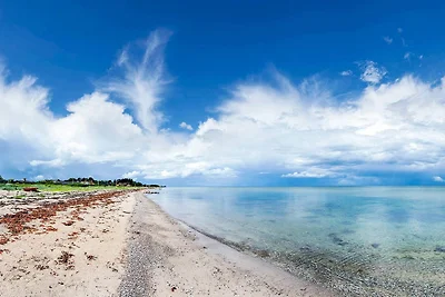 6 Personen Ferienhaus in Otterup-By Traum