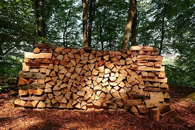 Appartamento per vacanze a Wolsfeld con...