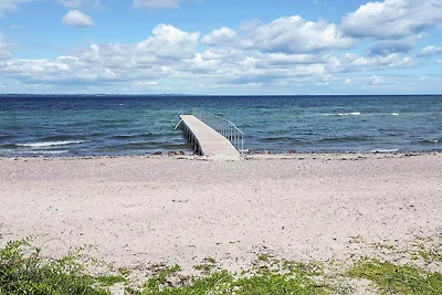 4 Personen Ferienhaus in Tranekær
