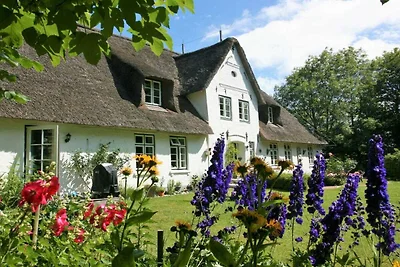 Vakantieappartement met 1 slaapkamer