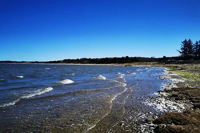 6 Personen Ferienhaus in Farsø-By Traum