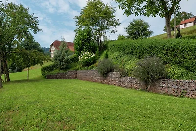 Charmantes Apartment im Schuttertal mit...