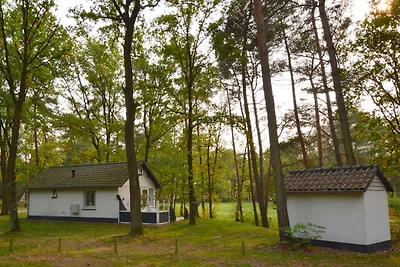 Abgeschiedene Ferienwohnung in dichtem Wald