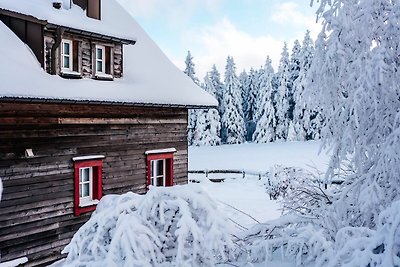 Ferienhäuser, Torfhaus Harz