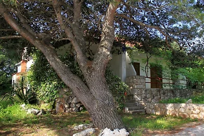 Appartement in Vrbanj met barbecue en wifi.