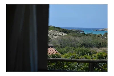 Bithia 5, ...dune, mare, verde