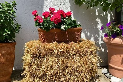 Gezellig appartement met balkon