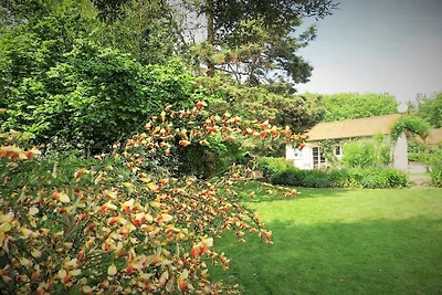 Vakantiehuis met 1 slaapkamer