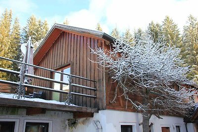 Chalet in Mariapfarr vlakbij skigebied