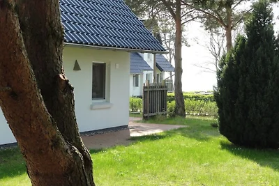 Ferienhaus in Rankwitz mit Schwimmbecken