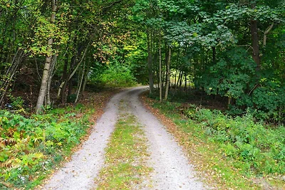 7 Personen Ferienhaus in Vittsjö-By Traum