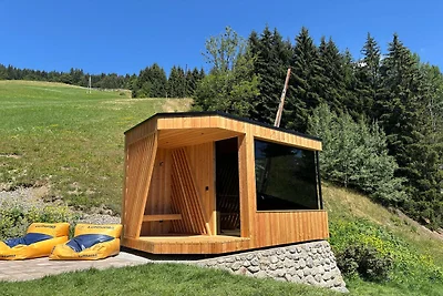 Chalet in Hopfgarten