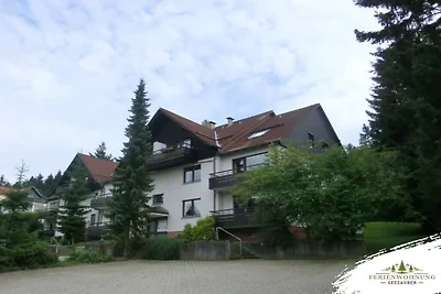 Ferienhaus Erholungsurlaub Goslar