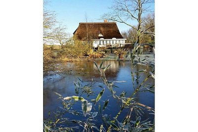 Cottage dal tetto di paglia della Frisia...