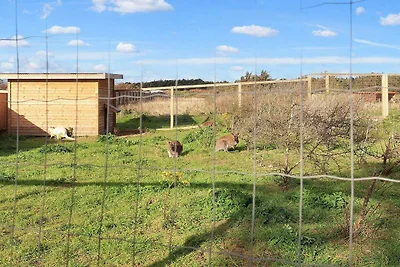 Cabina soleggiata nel campeggio resort