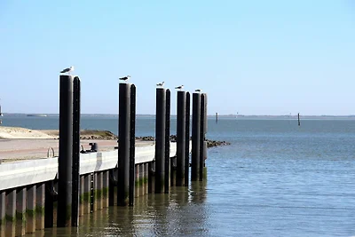Ferienhaus Toms Hütte mit Terrasse in Dornum