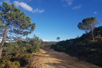 Ferienwohnung mit 1 Schlafzimmer