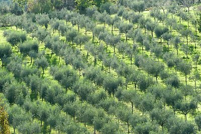 Agriturismo a Giano dell'Umbria con vasca...