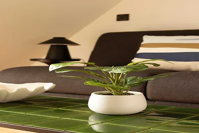 Charmantes Studio mit Klimaanlage - 2P -...