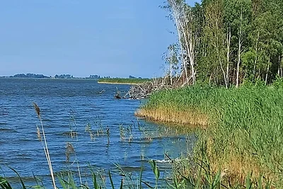 Casa con tetto di paglia sul Bodden con sauna
