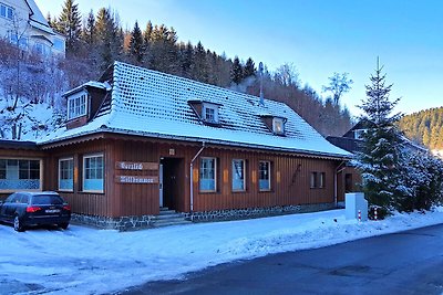 Ruim huis in Wildemann nabij skigebied