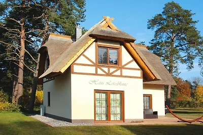 Fiore di loto della casa, Zirchow