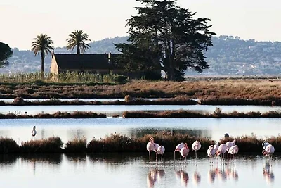 Appartamento a Giens vicino alla spiaggia di...