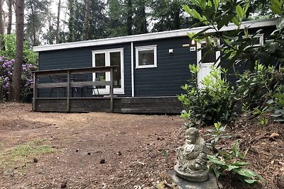 Schönes Chalet mit Garten, mitten im Antwerpe...