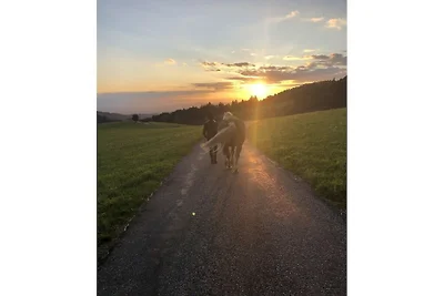 Appartamento per vacanze a San Pietro con...