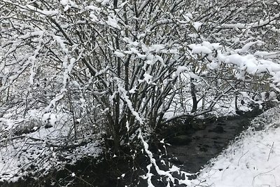 Rifugio solitario ai margini del bosco