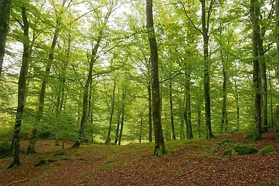 5 Personen Ferienhaus in HAMBURGSUND