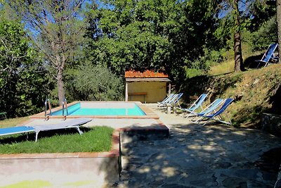 Ferienhaus in Piandiscò mit Terrasse