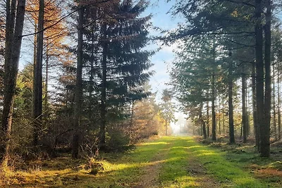 6 persone case ad Toftlund-By Traum