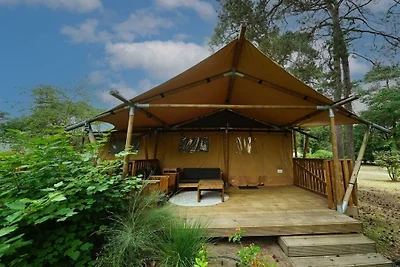 Ferienhaus in Otterlo mit Terrasse