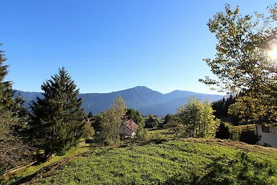 Wohnung in St. Stefan nahe Nassfeld Skigebiet