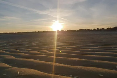 5 Sterne Ferienhaus in Hadsund