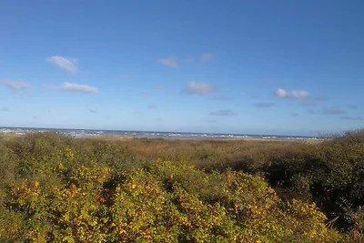 Strand-Ruckzug mit Spa -- By Traum...