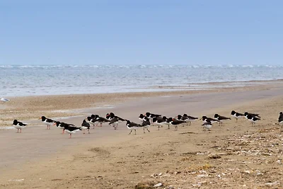 Gemutliches Saunahaus mit BBQ -- By Traum...