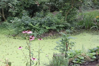 Ferienhaus in Eimke mit Schwimmbecken