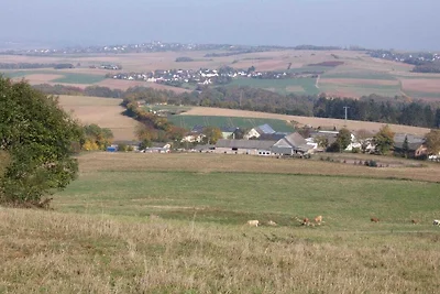 Vakantieappartement in Pilliger Heck met wifi