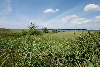 6 Personen Ferienhaus in Thyholm