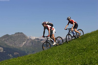 Apartment in Skigebiet in Leogang mit Sauna