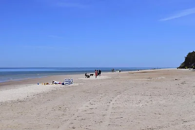 Casa vacanze vicino alla pineta di Choczewo