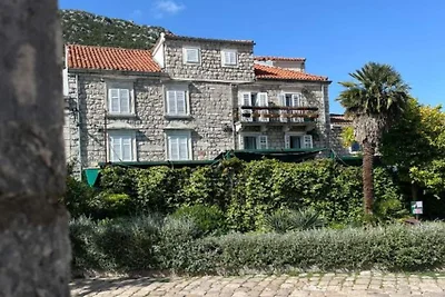 Ston Heritage Apartment with City view