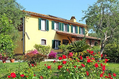 Villa delle Rose, Marginone Altopascio
