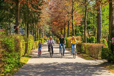 Schönes Chalet in einem Ferienpark