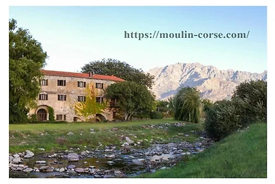 Ferienwohnung mit 1 Schlafzimmer