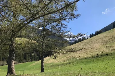 Tolles Chalet mit atemberaubender Aussicht